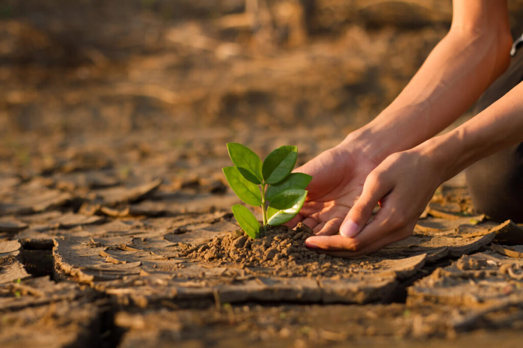 the road to recovery teens and adolescents